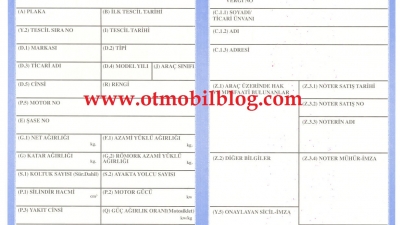 Aracımın Ruhsatını Kaybettim Ne Yapmalıyım?