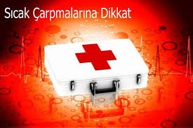 Sicak Çarpmasina Di̇kkat! Ölümcül Tehli̇ke Aracinizda.