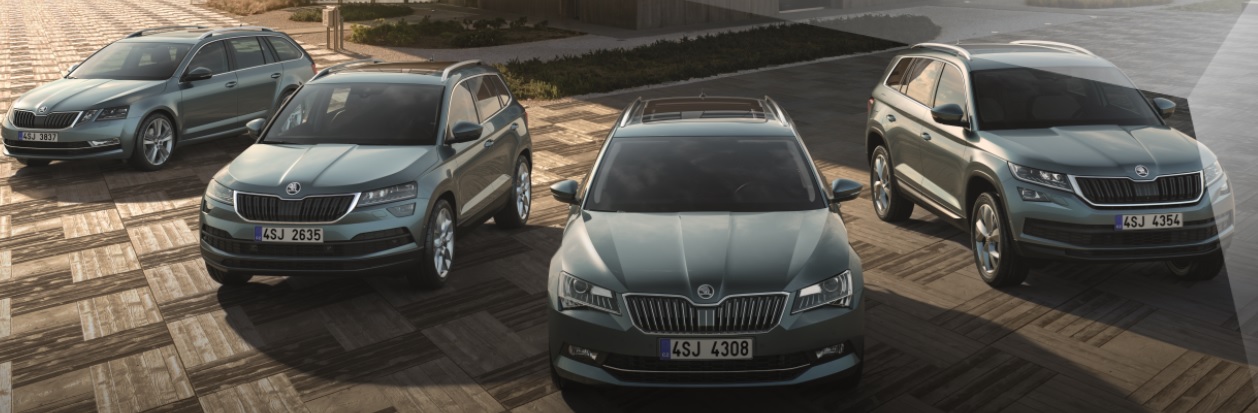 2019 Yılı Mart Ayı Skoda Kampanyası